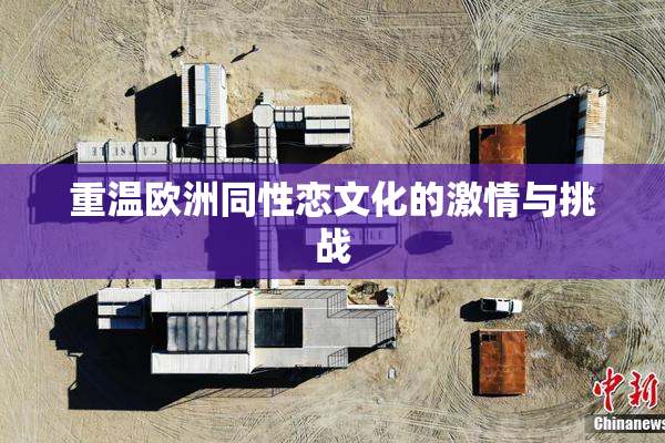 重温欧洲同性恋文化的激情与挑战