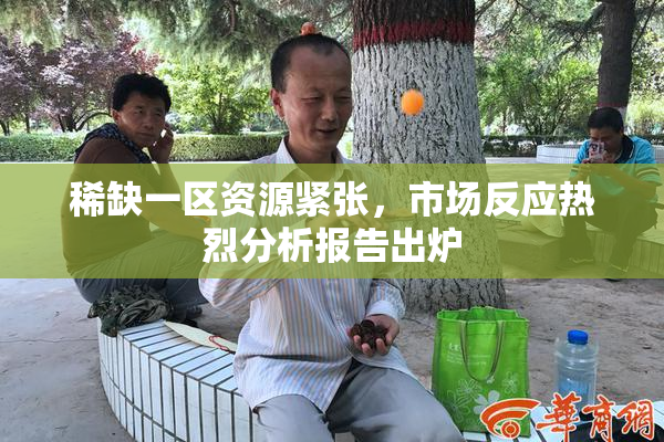 稀缺一区资源紧张，市场反应热烈分析报告出炉