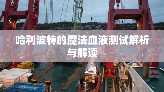 哈利波特的魔法血液测试解析与解读
