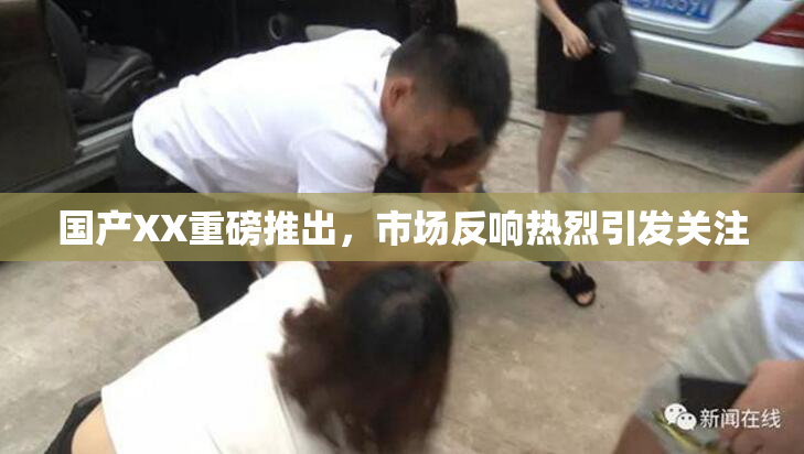 国产XX重磅推出，市场反响热烈引发关注