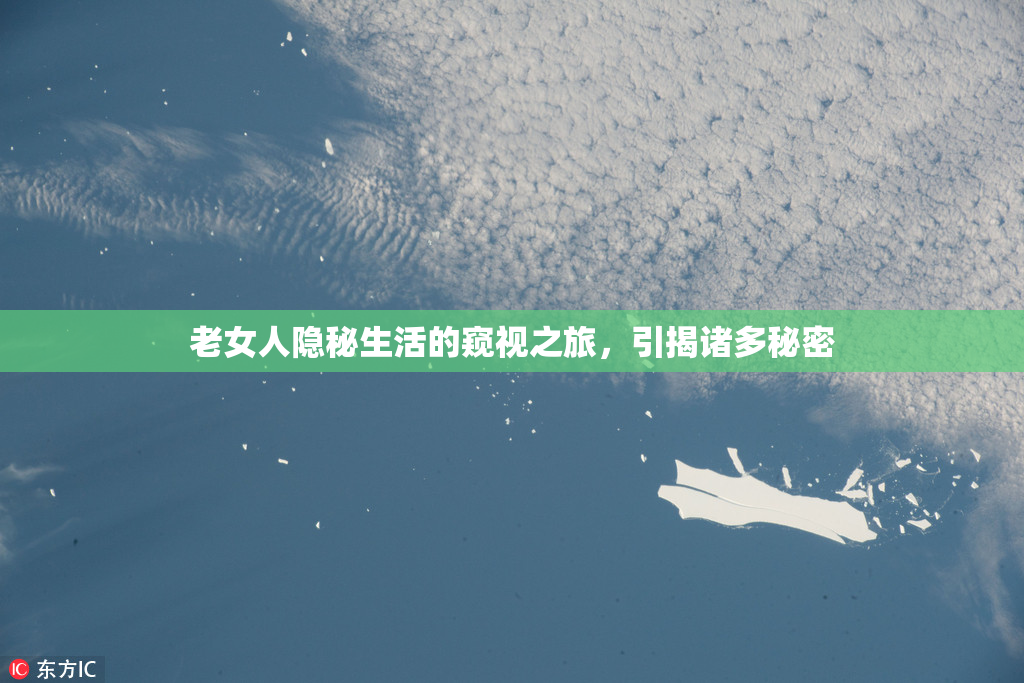 老女人隐秘生活的窥视之旅，引揭诸多秘密