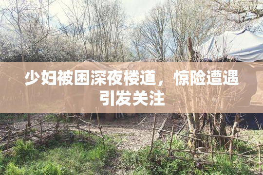 少妇被困深夜楼道，惊险遭遇引发关注