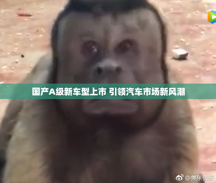国产A级新车型上市 引领汽车市场新风潮