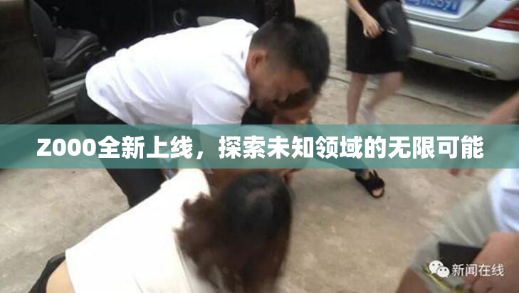 Z000全新上线，探索未知领域的无限可能