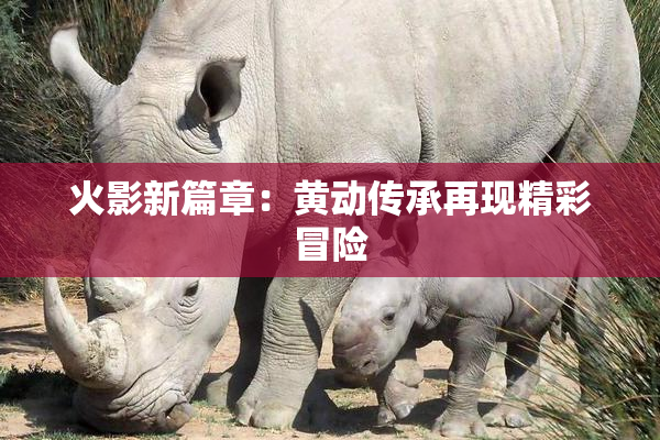 火影新篇章：黄动传承再现精彩冒险
