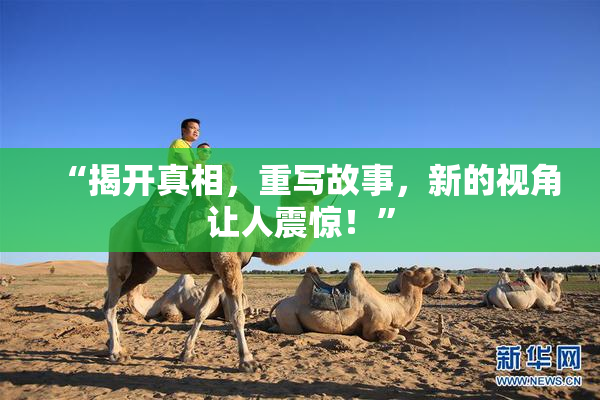 “揭开真相，重写故事，新的视角让人震惊！”