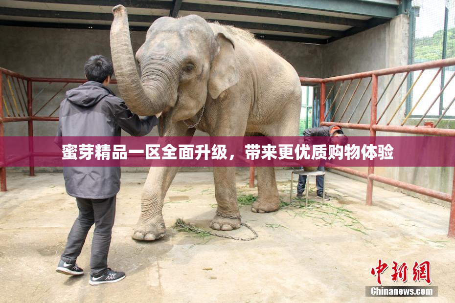 蜜芽精品一区全面升级，带来更优质购物体验