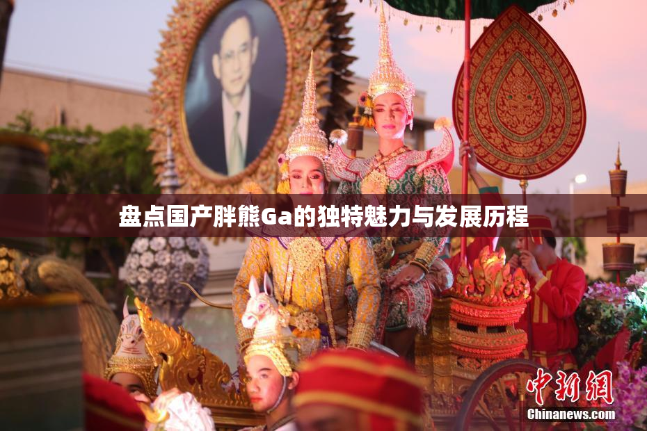 盘点国产胖熊Ga的独特魅力与发展历程