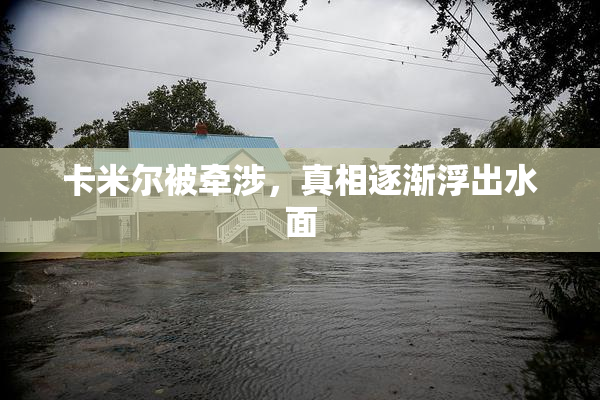 卡米尔被牵涉，真相逐渐浮出水面