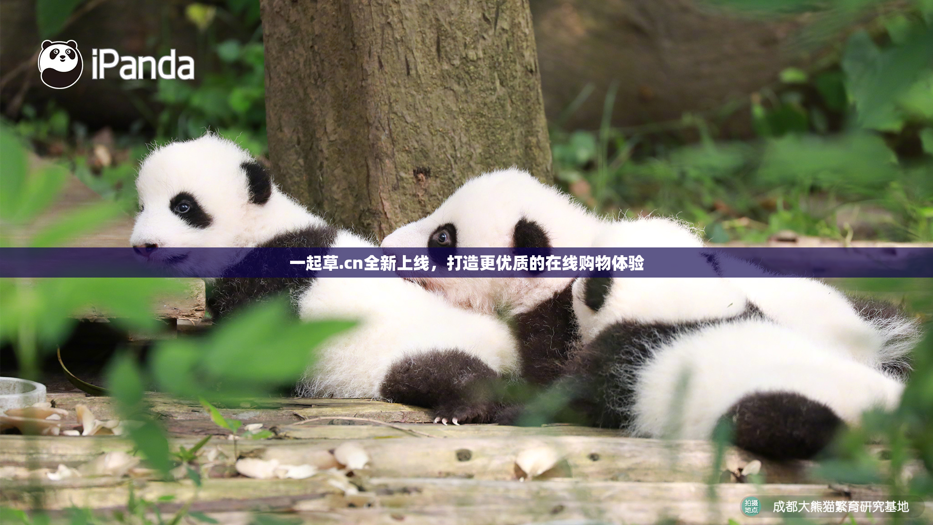 一起草.cn全新上线，打造更优质的在线购物体验