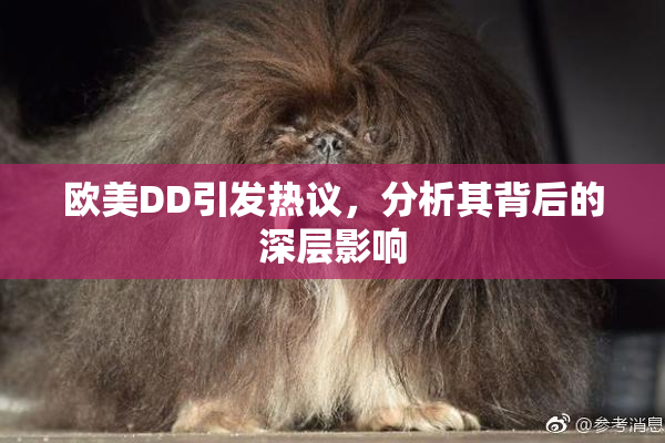 欧美DD引发热议，分析其背后的深层影响