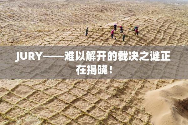 JURY——难以解开的裁决之谜正在揭晓！