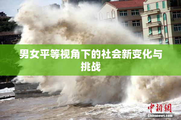 男女平等视角下的社会新变化与挑战