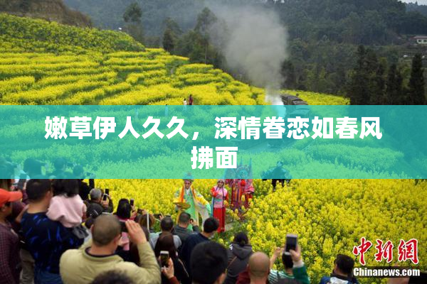 嫩草伊人久久，深情眷恋如春风拂面