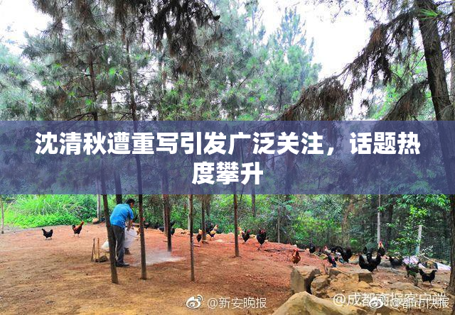沈清秋遭重写引发广泛关注，话题热度攀升