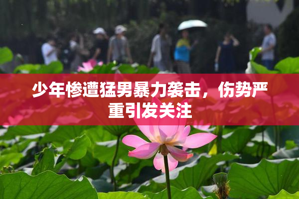 少年惨遭猛男暴力袭击，伤势严重引发关注