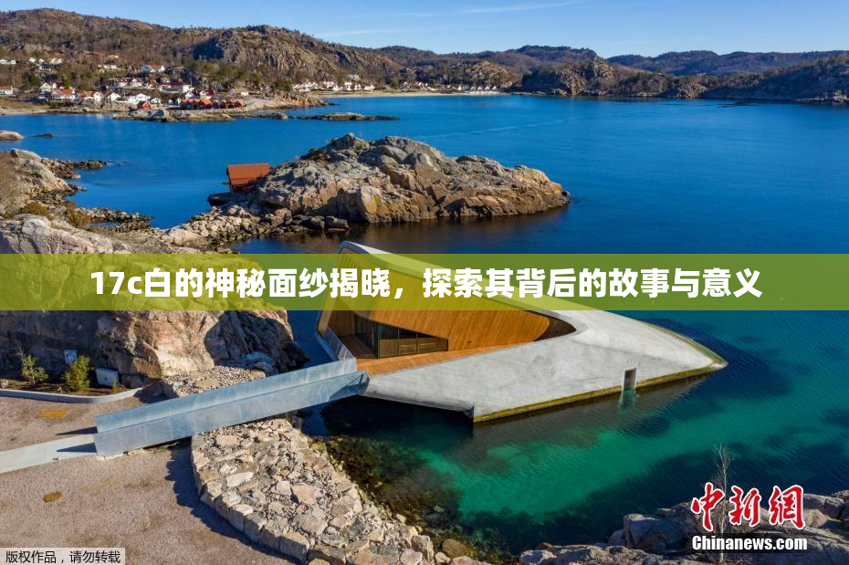 17c白的神秘面纱揭晓，探索其背后的故事与意义