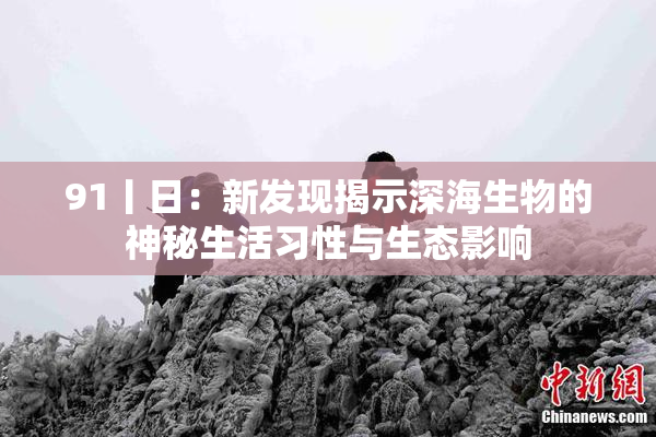 91丨日：新发现揭示深海生物的神秘生活习性与生态影响