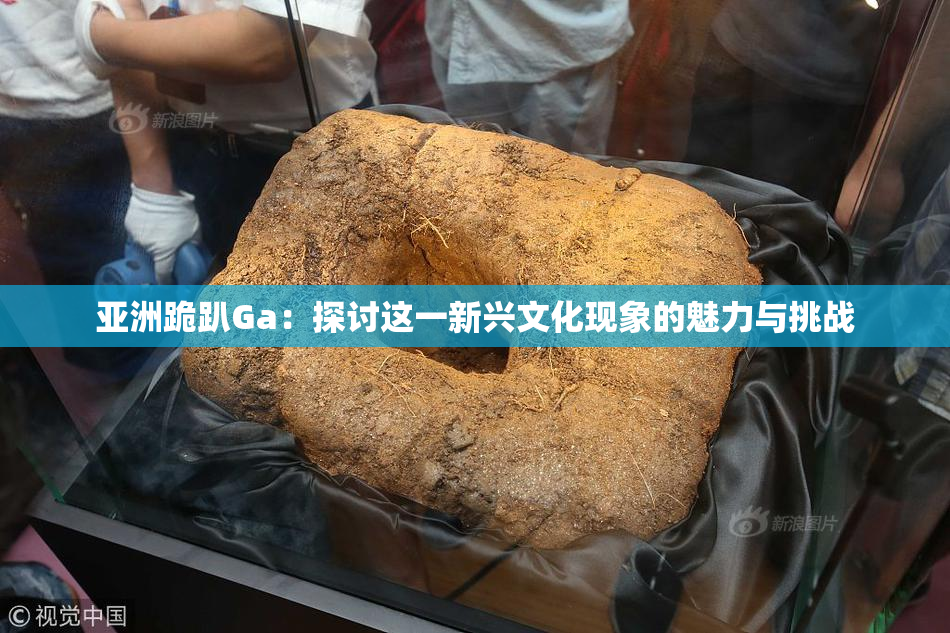 亚洲跪趴Ga：探讨这一新兴文化现象的魅力与挑战
