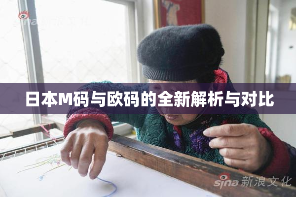 日本M码与欧码的全新解析与对比