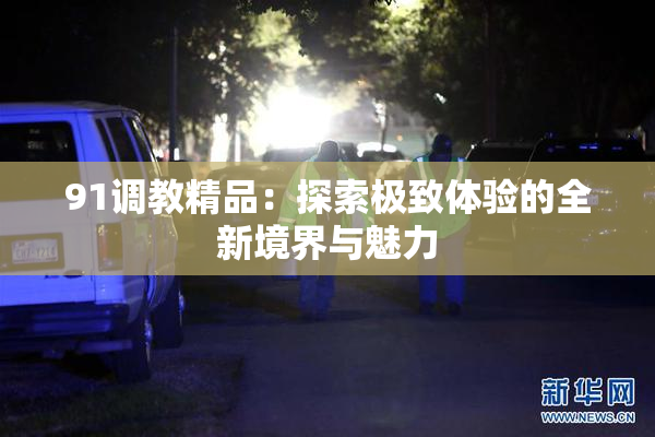91调教精品：探索极致体验的全新境界与魅力
