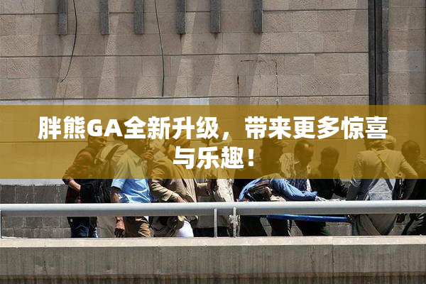 胖熊GA全新升级，带来更多惊喜与乐趣！