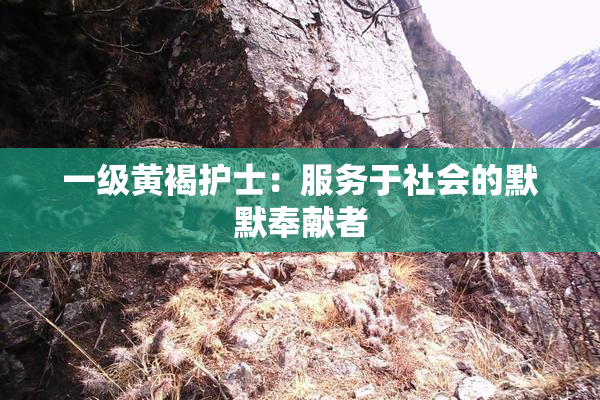 一级黄褐护士：服务于社会的默默奉献者