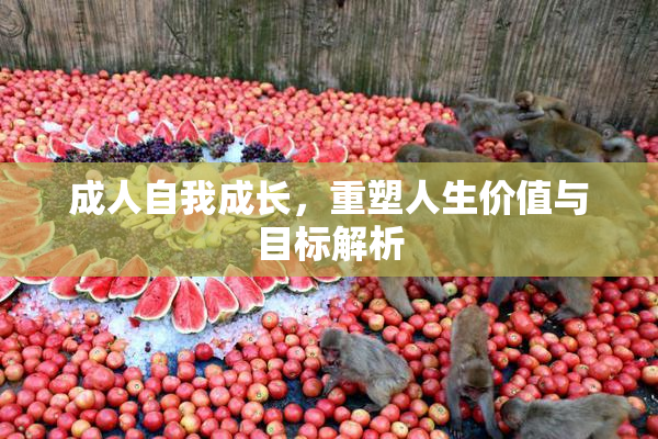 成人自我成长，重塑人生价值与目标解析
