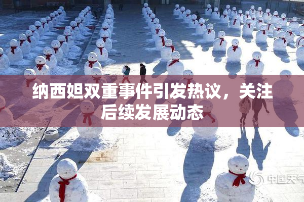 纳西妲双重事件引发热议，关注后续发展动态