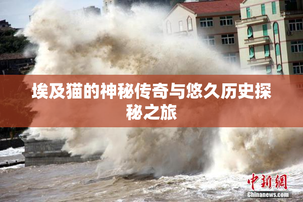 埃及猫的神秘传奇与悠久历史探秘之旅