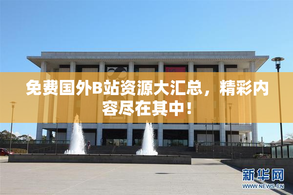 免费国外B站资源大汇总，精彩内容尽在其中！