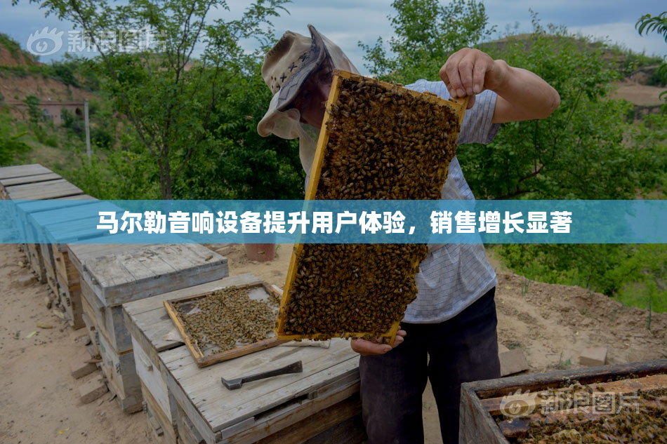 马尔勒音响设备提升用户体验，销售增长显著