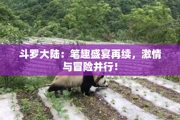 斗罗大陆：笔趣盛宴再续，激情与冒险并行！