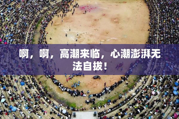 啊，啊，高潮来临，心潮澎湃无法自拔！