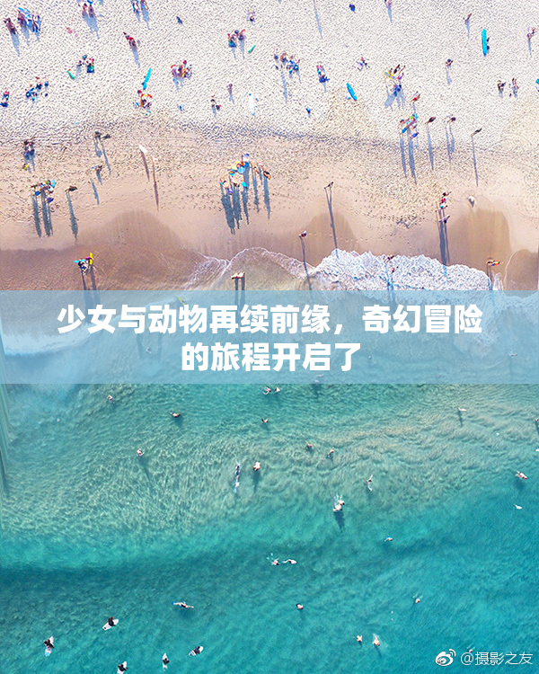 少女与动物再续前缘，奇幻冒险的旅程开启了