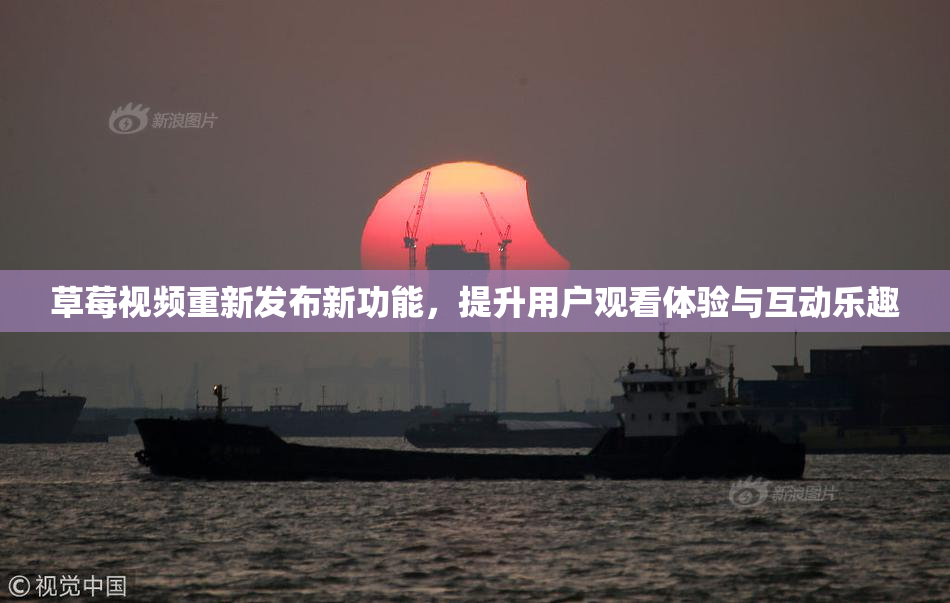 草莓视频重新发布新功能，提升用户观看体验与互动乐趣