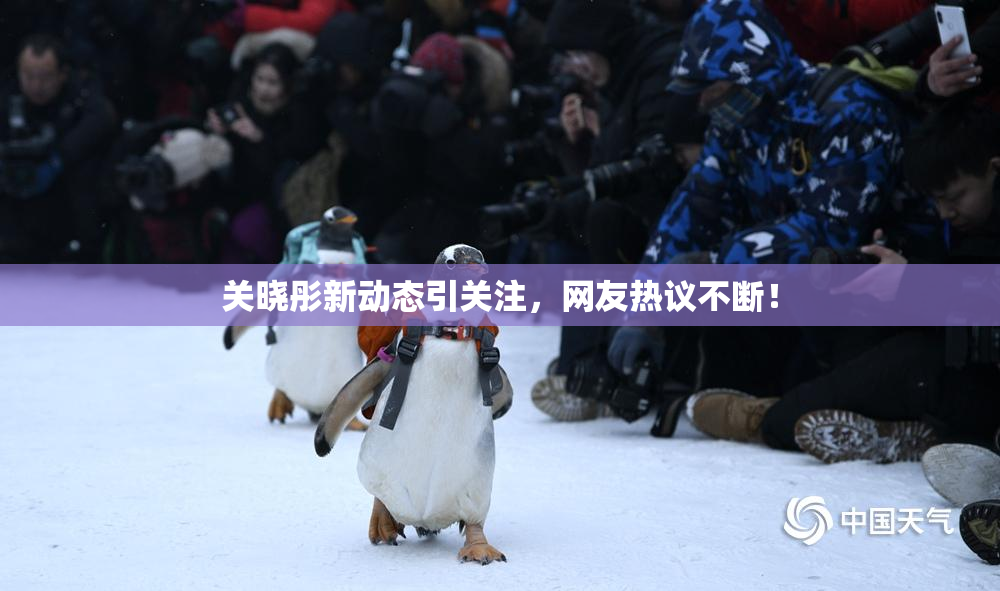 关晓彤新动态引关注，网友热议不断！