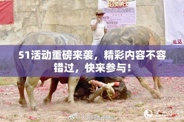51活动重磅来袭，精彩内容不容错过，快来参与！
