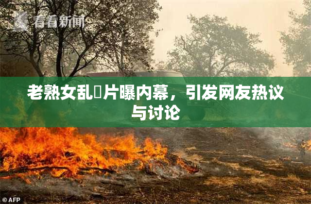 老熟女乱婬片曝内幕，引发网友热议与讨论