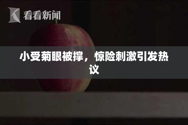 小受菊眼被撑，惊险刺激引发热议