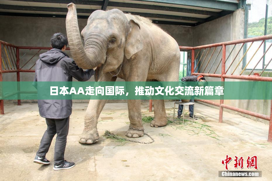 日本AA走向国际，推动文化交流新篇章