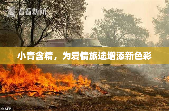 小青含精，为爱情旅途增添新色彩