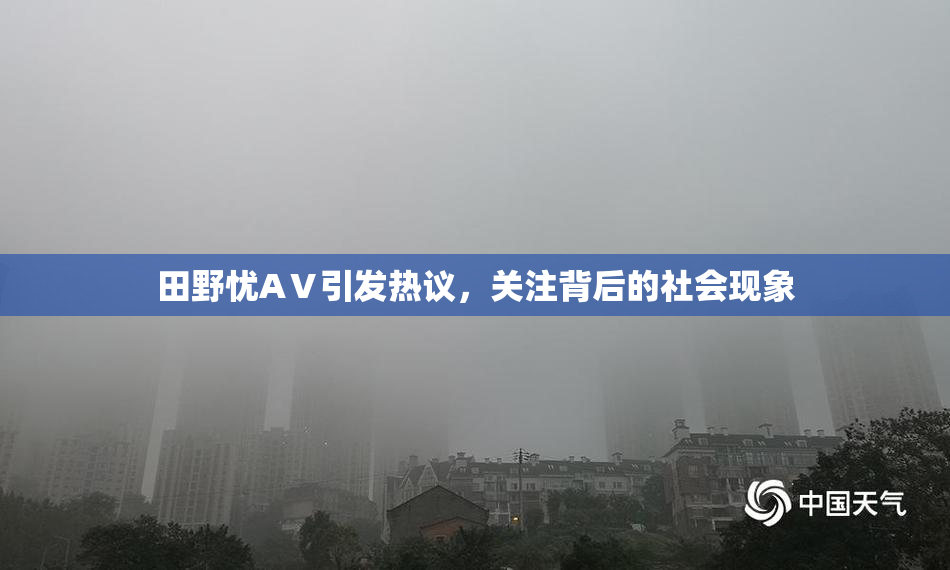 田野忧AⅤ引发热议，关注背后的社会现象
