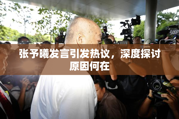 张予曦发言引发热议，深度探讨原因何在