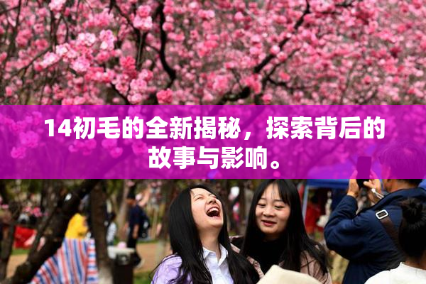 14初毛的全新揭秘，探索背后的故事与影响。