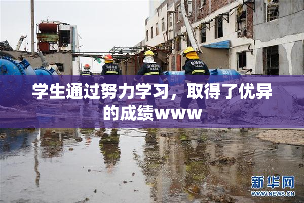 学生通过努力学习，取得了优异的成绩www