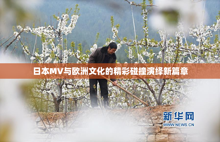 日本MV与欧洲文化的精彩碰撞演绎新篇章