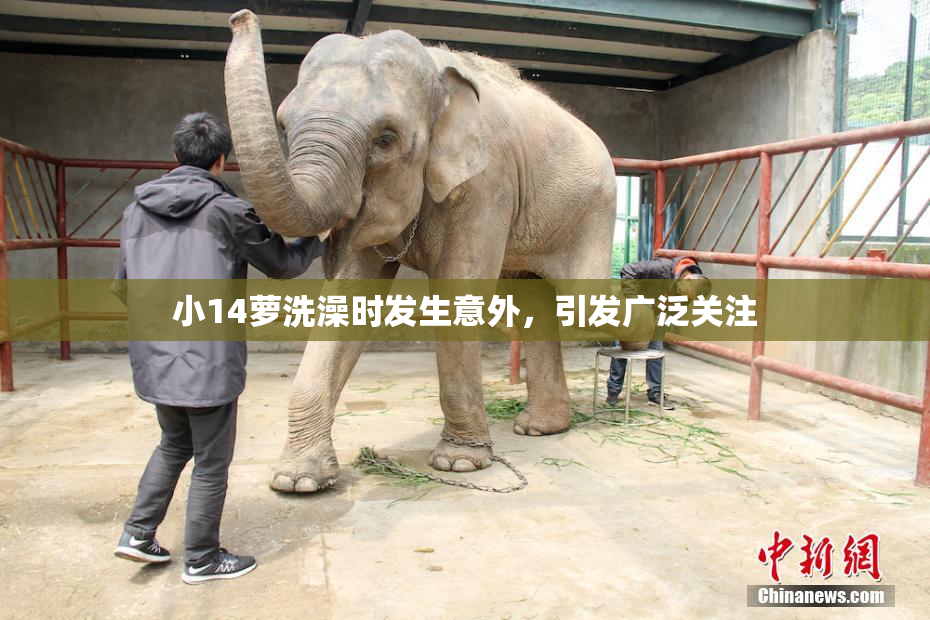小14萝洗澡时发生意外，引发广泛关注