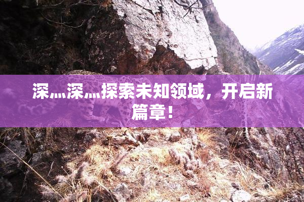 深灬深灬探索未知领域，开启新篇章！