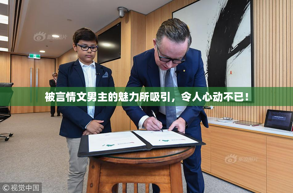 被言情文男主的魅力所吸引，令人心动不已！